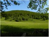 Col - Javornik above Črni vrh